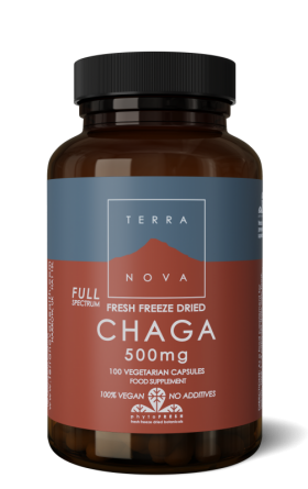 Chaga 500 mg complex 100 capsules Terranova