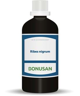 Ribes nigrum 100 ml Bonusan
