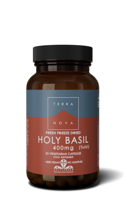 Holy basil 400 mg 50 capsules Terranova