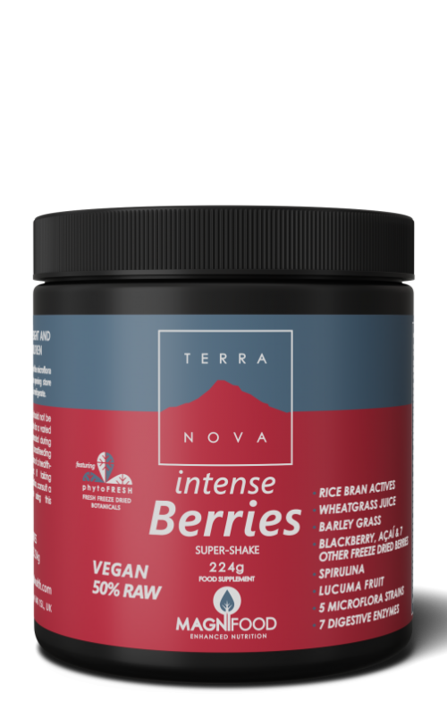 Intense berries super shake 224 gram Terranova