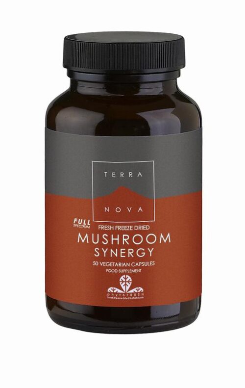 Mushroom synergy complex 50 capsules Terranova
