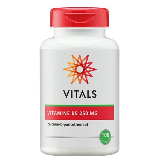 Vitamine B5 pantotheenzuur 250 mg 100 capsules Vitals