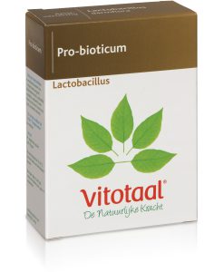 Lactobacillus 45 capsules Vitotaal