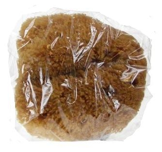 Natuur spons caribbean medium 1 stuks Forsters