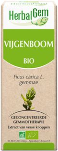 Vijgenboom ficus carica gemmae 50 ml Herbalgem