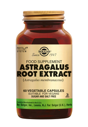 Astragalus Root Extract 60 stuks Solgar