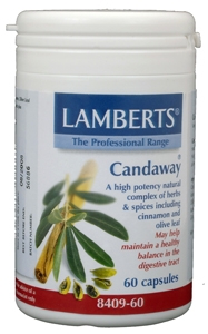 Candaway 60 tabletten Lamberts