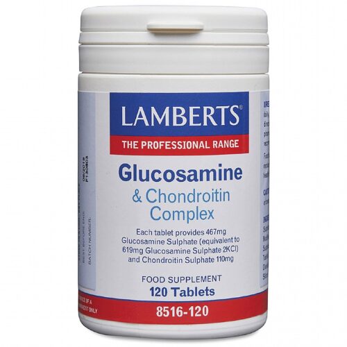 Glucosamine & chondroitine 120 tabletten Lamberts