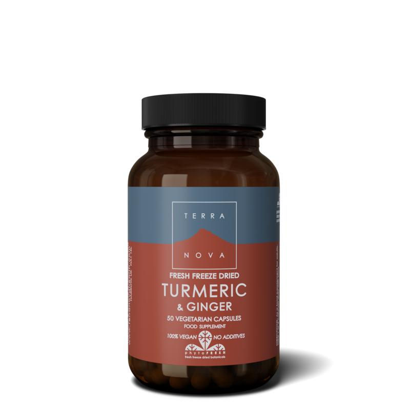 Turmeric Ginger Capsules Terranova Bik Bik Nl